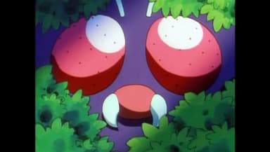 The Ninja Poké-Showdown