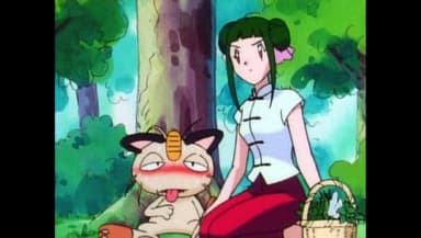 The Problem with Paras