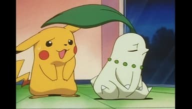 Chikorita's Big Upset